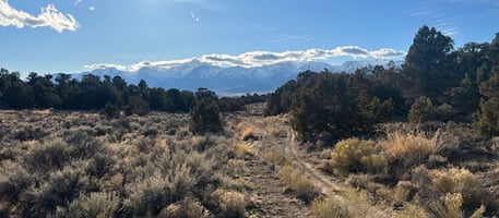 28004174