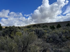 28004882