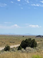 28005272