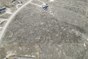28006009