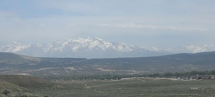 28007790