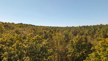 28013654