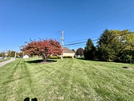 28016781