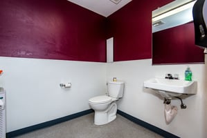28023532