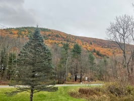 28026780