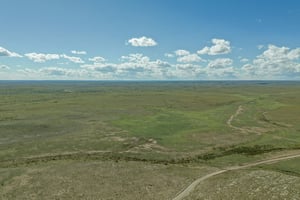 28027639