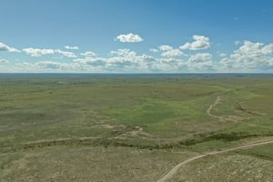 28027678