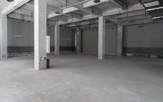 28036781