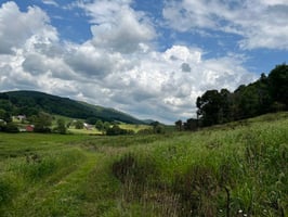 28067743