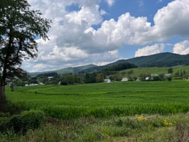 28067852