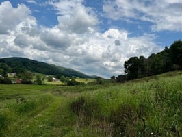 28067854