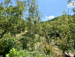 28067888