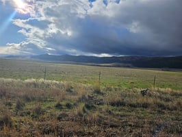 28155602