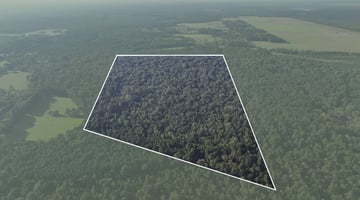 28076861