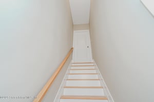 30081552