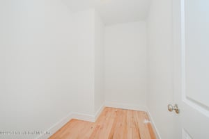 30081537