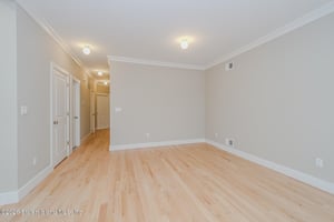 30081520