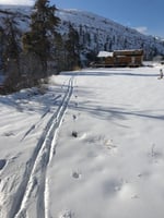 28152532
