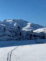 28152530