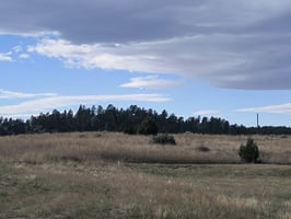 28168910