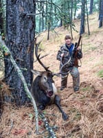 28235953