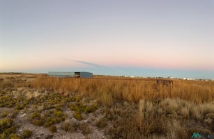 28171629