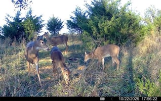 28173996