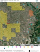 34106854
