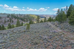 34061762
