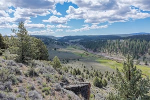 34061780