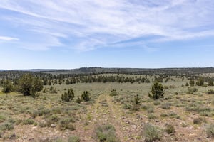 28190628