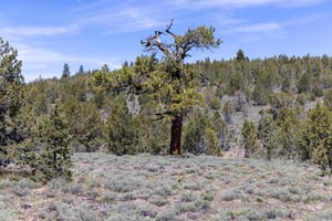 28190632