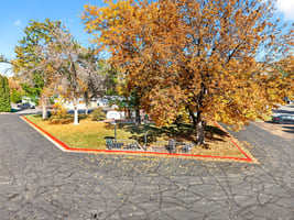 28200938