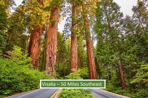 28200906