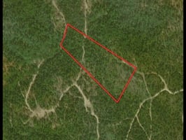 31376496