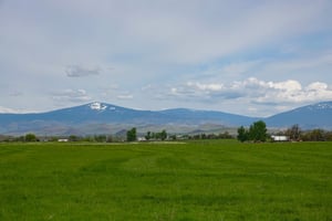 28209550