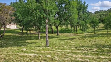29734668