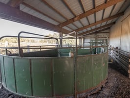 29125164