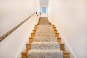 28220526