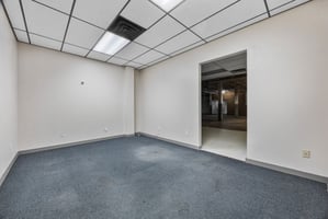 28225981