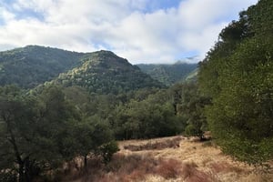 28239074