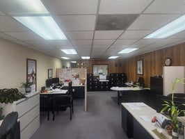 31737466