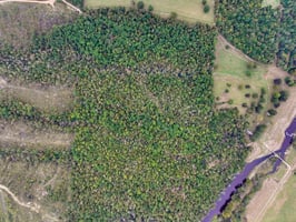 34095634