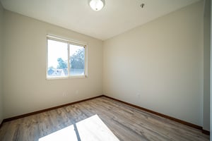 28250549