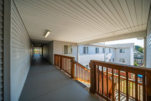 28250551