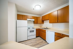 28250548