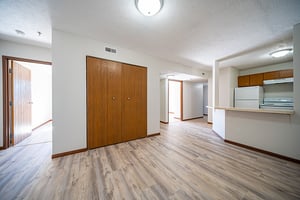 28250550