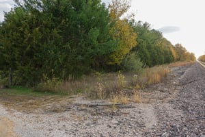 28247044