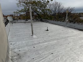 28303850