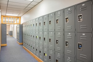 28253951
